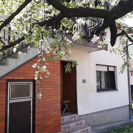 Apartment Rakic