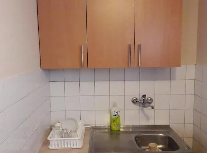 Rakic Апартаменты Баина-Башта